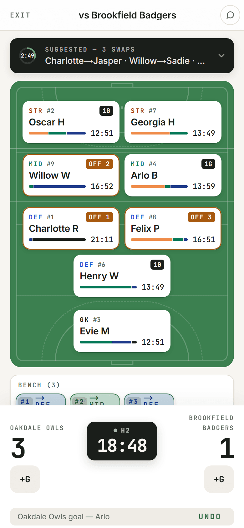 Hockey live game with the keeper, mid-game
