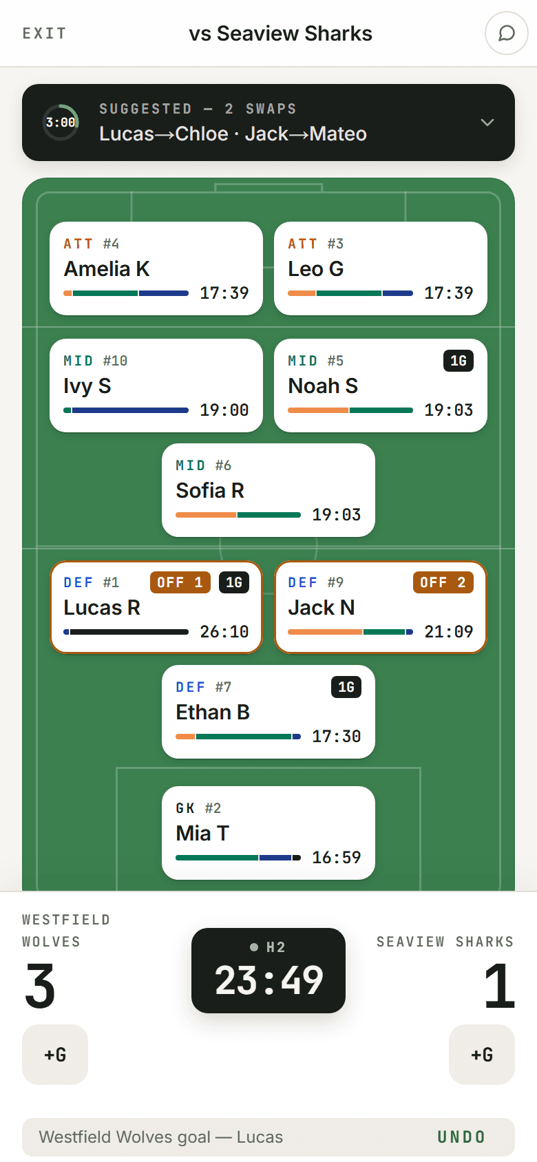 Football (soccer) live game: the keeper and the defenders